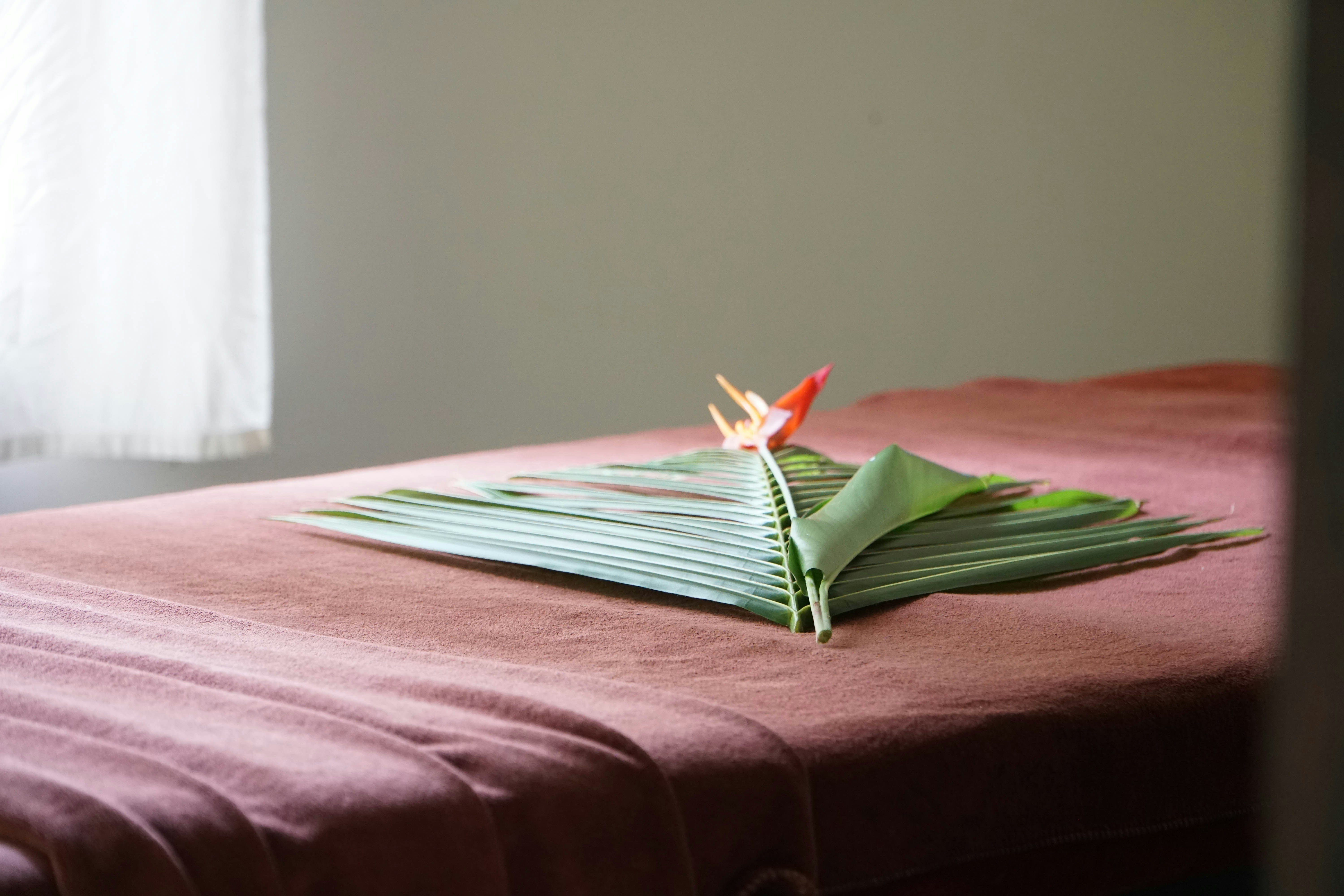 Comfortable treatment facility environment